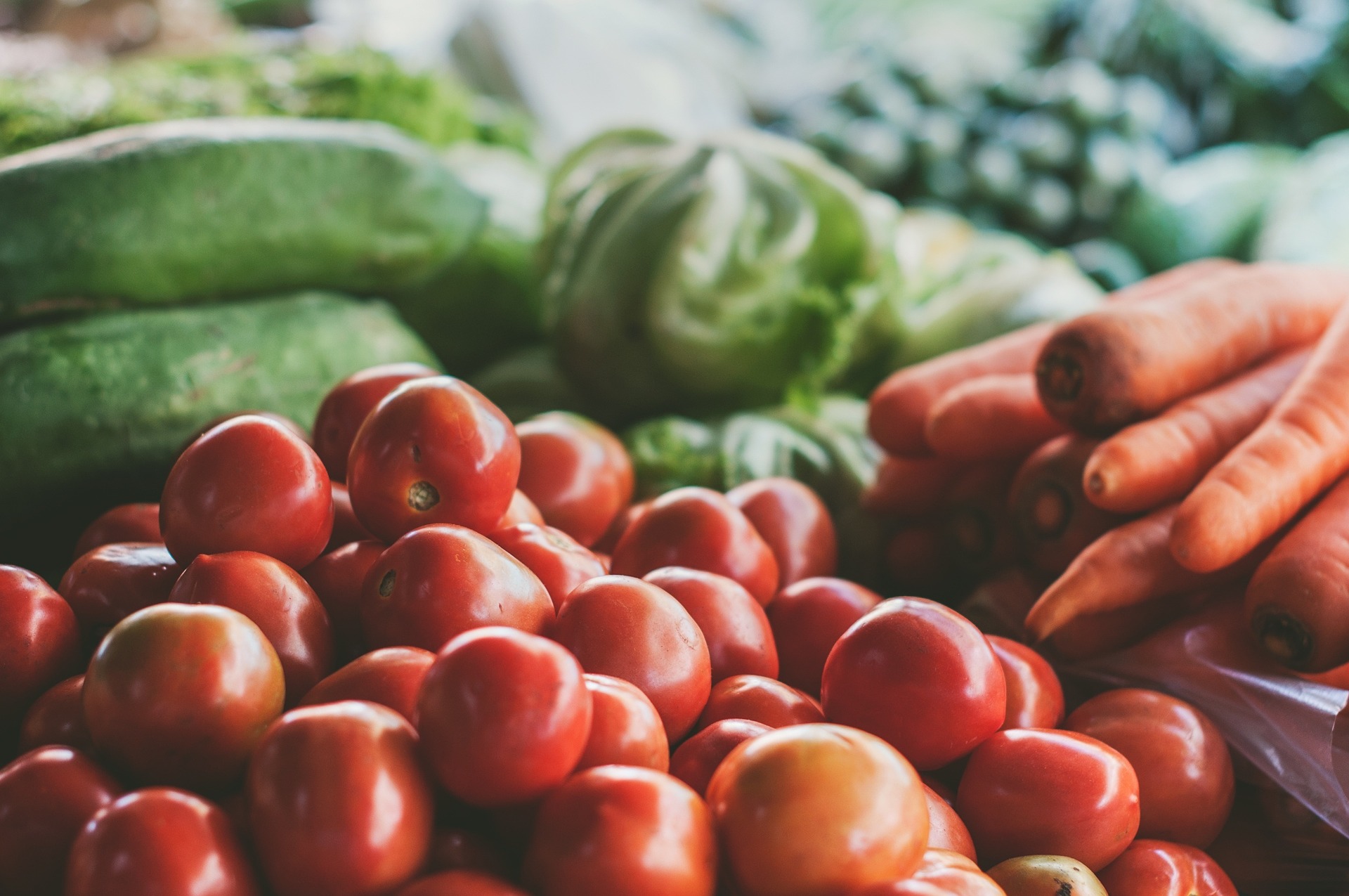 Benessere Alimentare e Sostenibilità